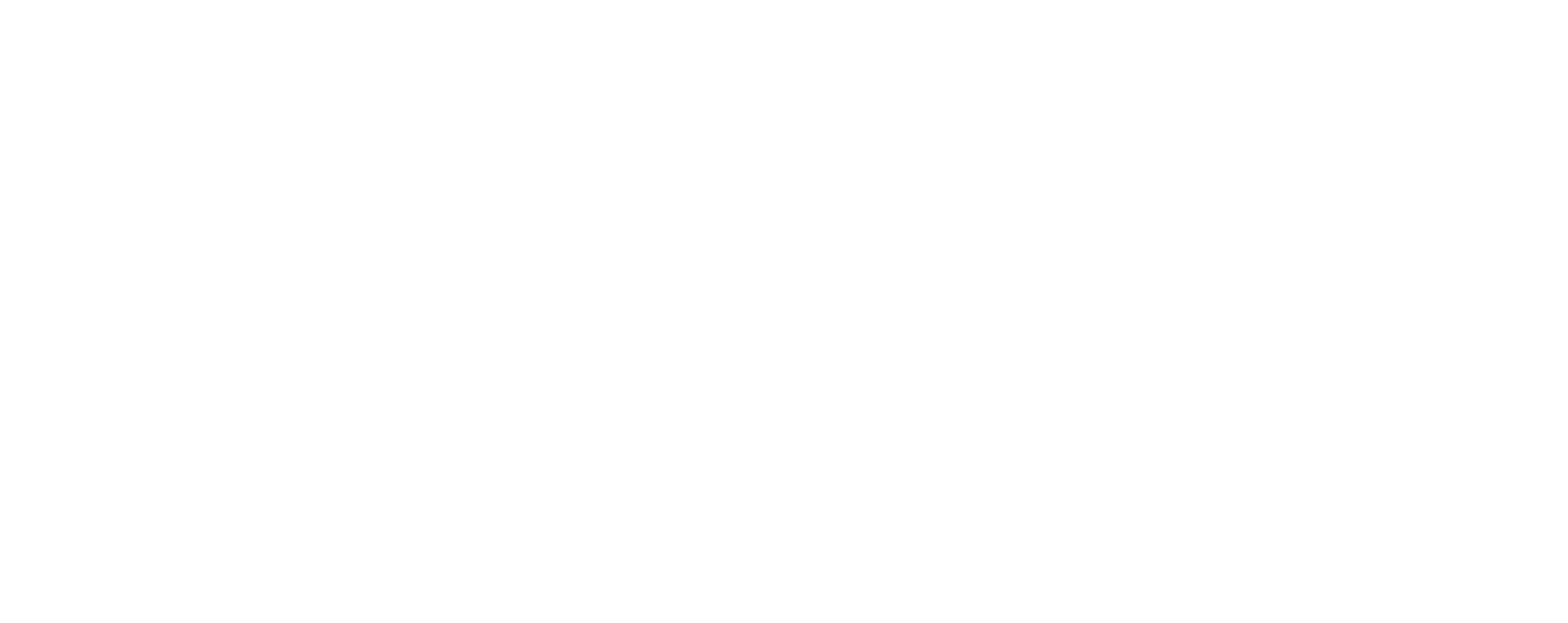 LOGO DIVINÓPOLIS CALÇADOS