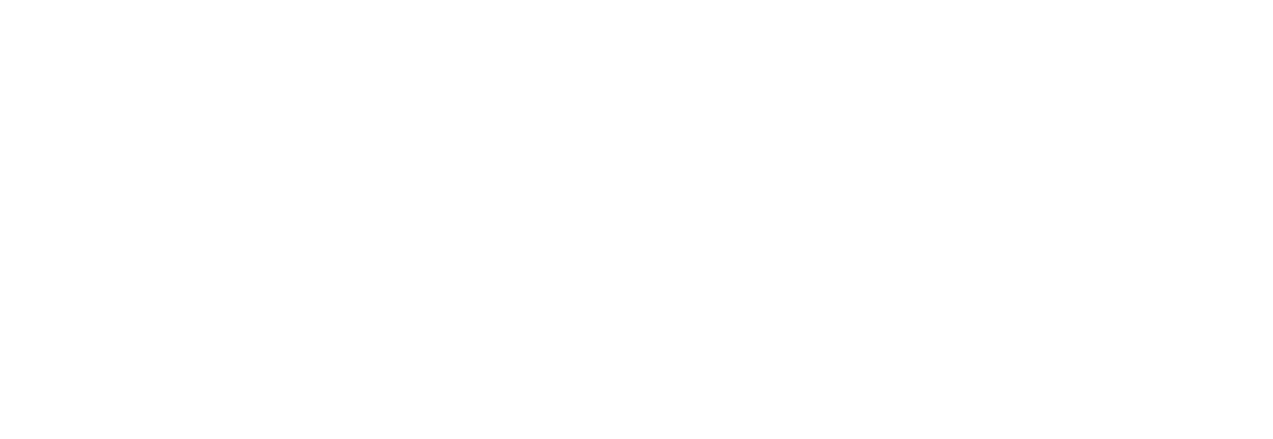 logo pneuroda